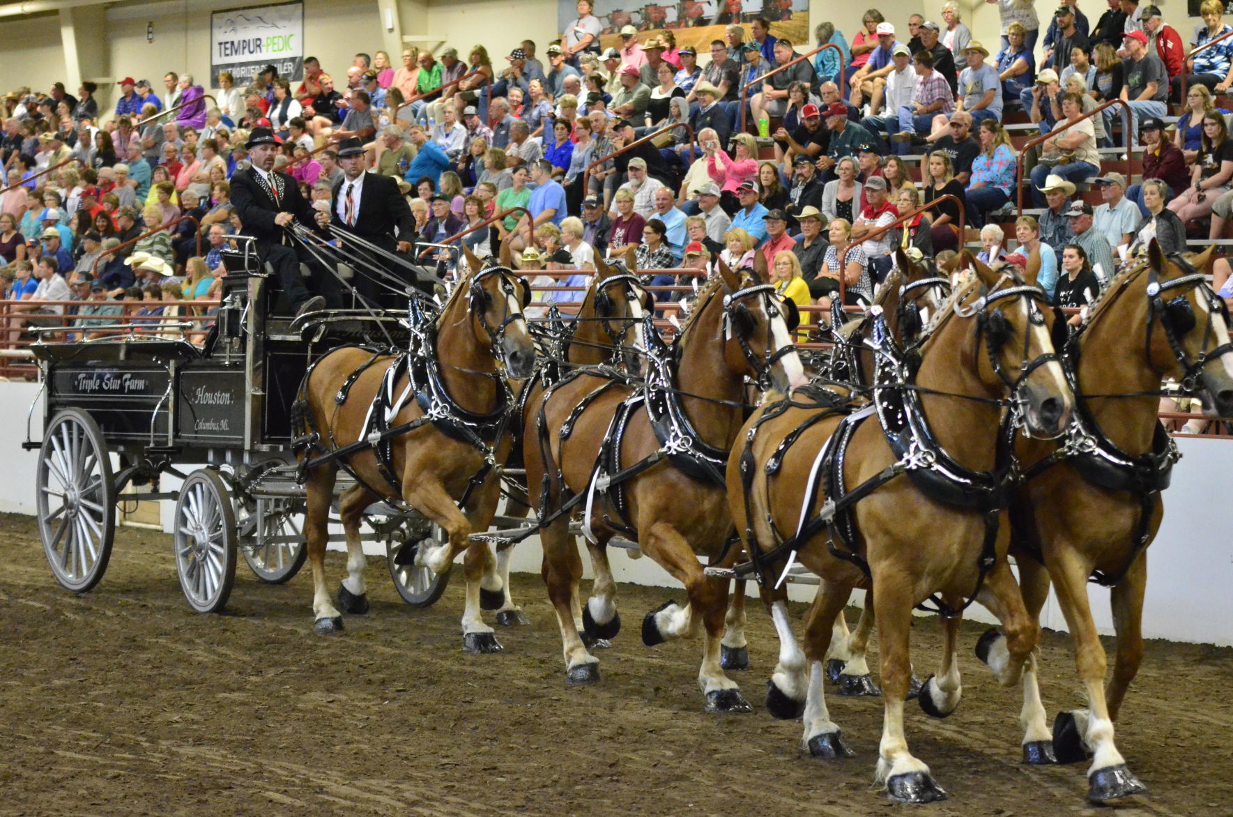 8-25-19 Draft Horse Hitch Final (123).JPG